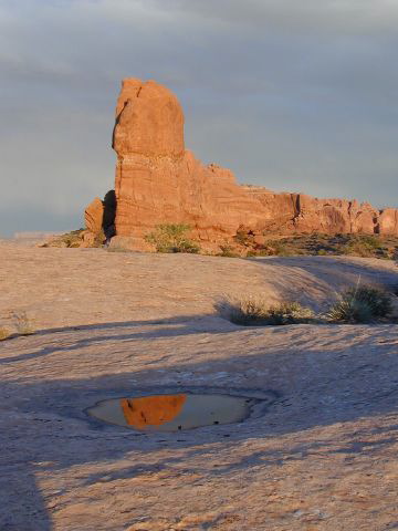 Arches