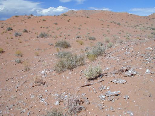 Capitol Reef - Gypsum
