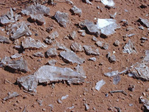 Capitol Reef - Gypsum