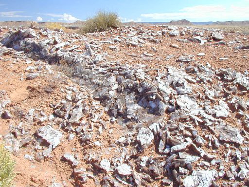 Capitol Reef - Gypsum