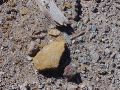 Canyonlands - Uranium Mine