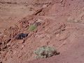 Canyonlands - Road out