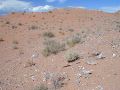 Capitol Reef - Gypsum