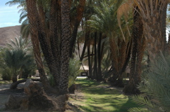China Ranch