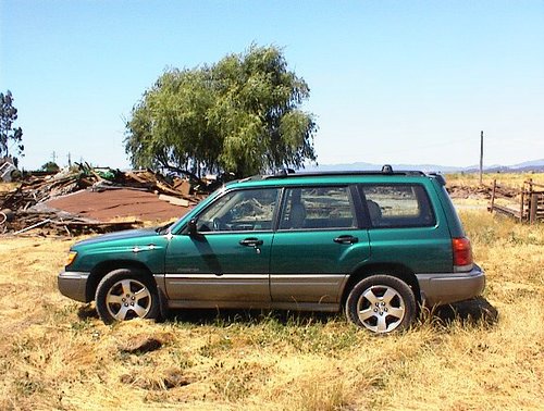 99 Forester with the old willow tree