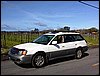 2002 LTD by the Vinyards.jpg