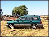 99 Forester with the old willow tree.jpg
