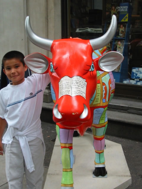 Head-on view of the book cow