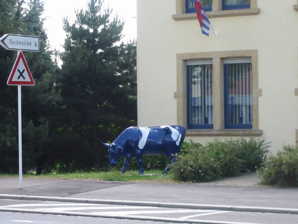 Luxembourg footprints cow again.