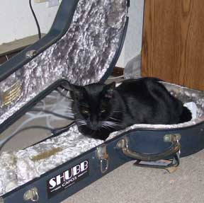Blackie