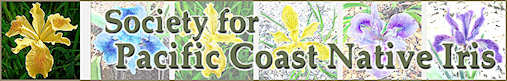 New web site header Native iris website header