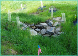 Erosion Control