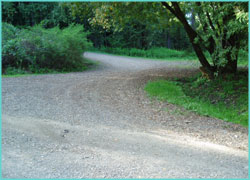 Roads