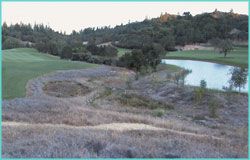 Stream Restoration