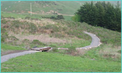 Trails