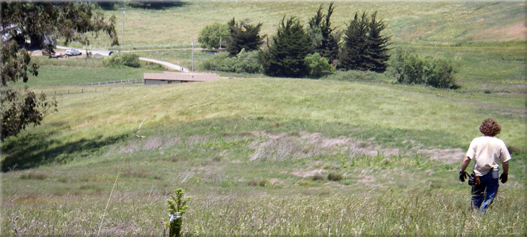 Streamline in the Field
