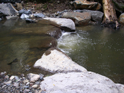Fish Passage