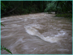 Flooding