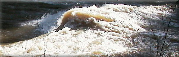 Hydraulic Jump in Santa Rosa Creek