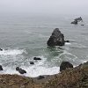 DSCN9223