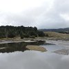 DSCN8705