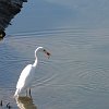DSCN9104