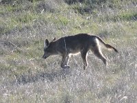 DSCN8261