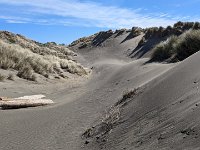 2023-03BellstoDunes1317