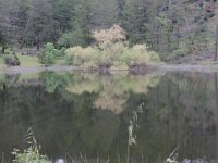 DSCN9753