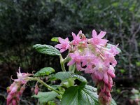 DSCN8767