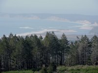 DSCN8794