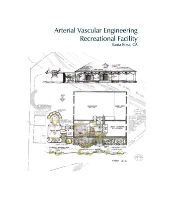 Services-Planning2-AVE2 copy