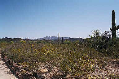 aztrip.jpg (49100 bytes)