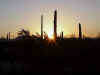 sunrise.jpg (49316 bytes)