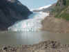 bearglacier.jpg (73814 bytes)