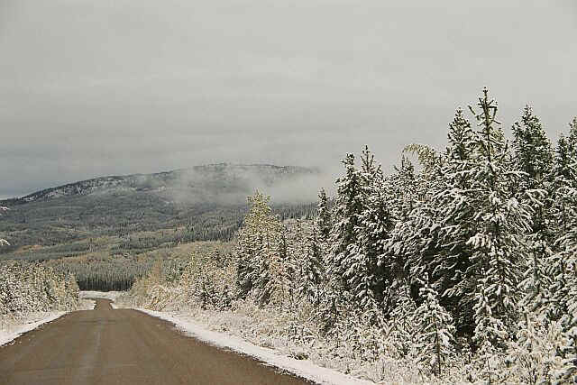 casierfall.jpg (95339 bytes)