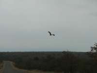 IMG_1919