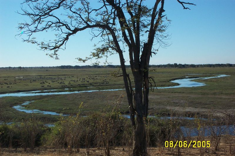 Muchenje (10)