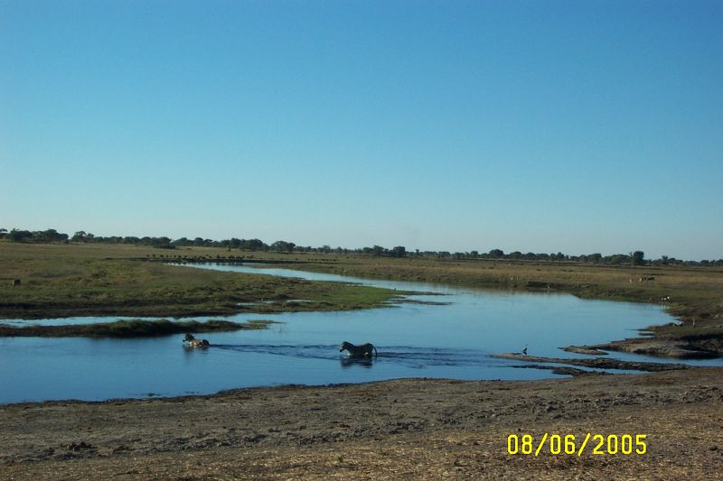 Muchenje (11)