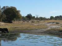 Muchenje (63)