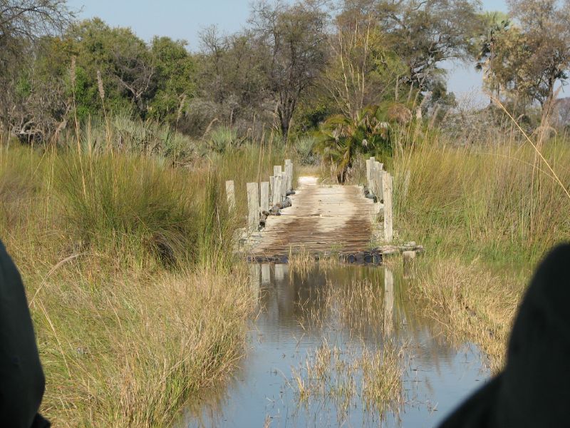 Nxabega (40)