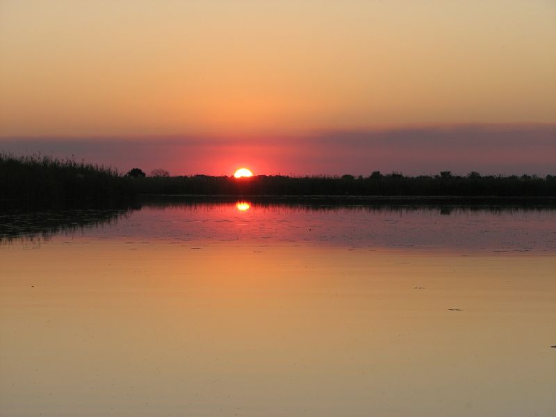 Nxabega (55)