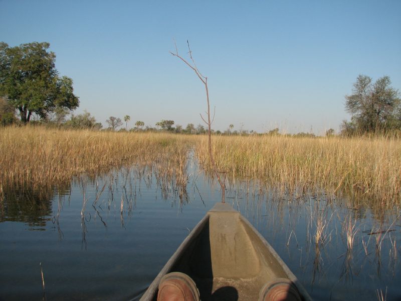 Nxabega (61)