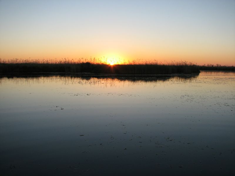 Xakanaxa (14)