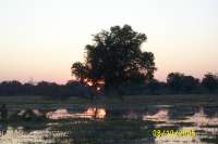 Xakanaxa (30)