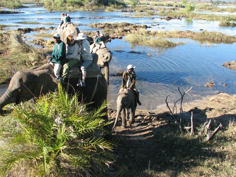 Victoria Falls-Zambi (50)