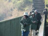 Victoria Falls-Zambi (16)