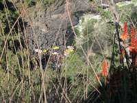 Victoria Falls-Zambi (22)