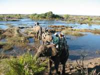 Victoria Falls-Zambi (49)