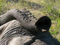 Victoria Falls-Zambi (53)